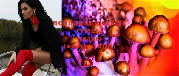 гашик Арсеньев