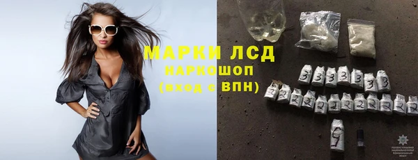 гашик Арсеньев
