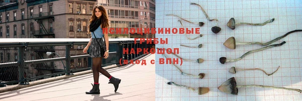 гашик Арсеньев