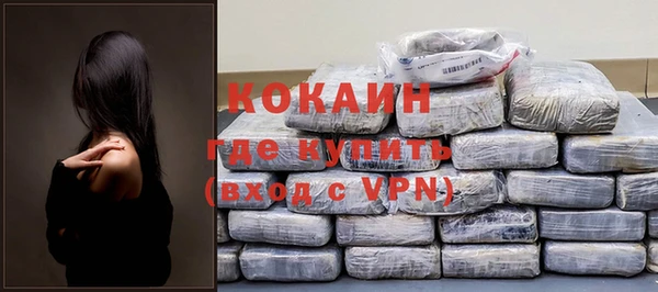 гашик Арсеньев