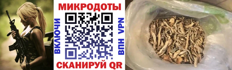 mega зеркало  Лабинск  Галлюциногенные грибы Psilocybe  где можно купить наркотик 
